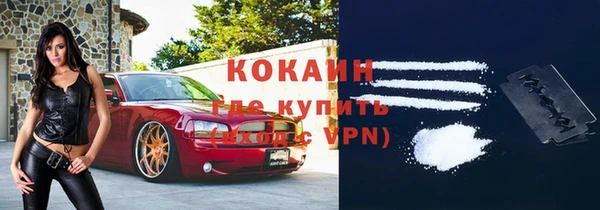 стафф Арсеньев