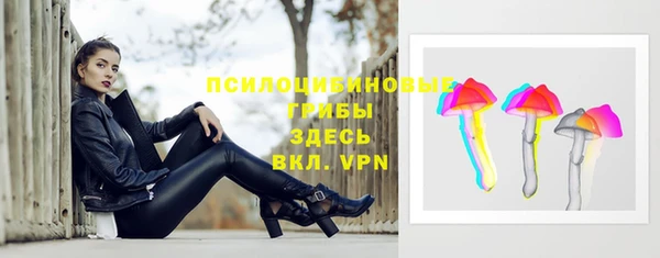 гашик Армянск