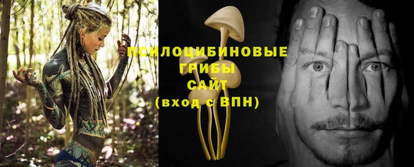 трава Аркадак