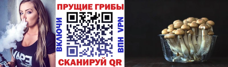 Галлюциногенные грибы Psilocybe  Купить закладки  Севск 
